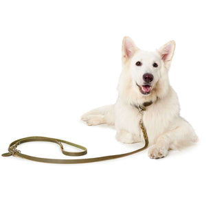 Training leash Solid Education