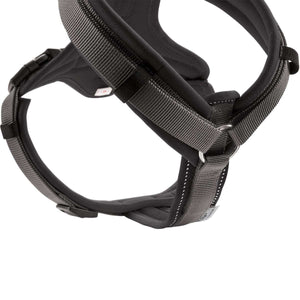 Harness Maldon