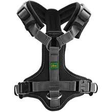 Harness Maldon