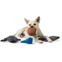 Dog toy Tirana