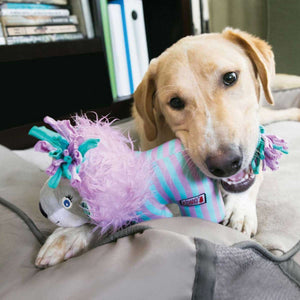 Dog toy KONG® Knots Carnival