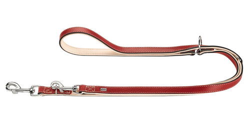 Training Leash Virginia