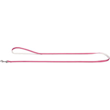 Leash Modern Art