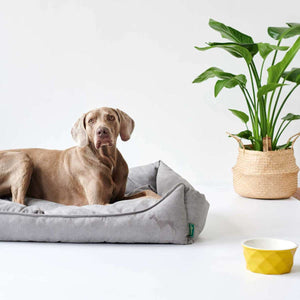 Dog sofa Eiby