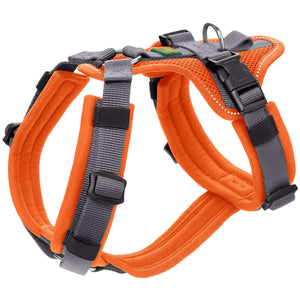 Safety harness with handle Maldon