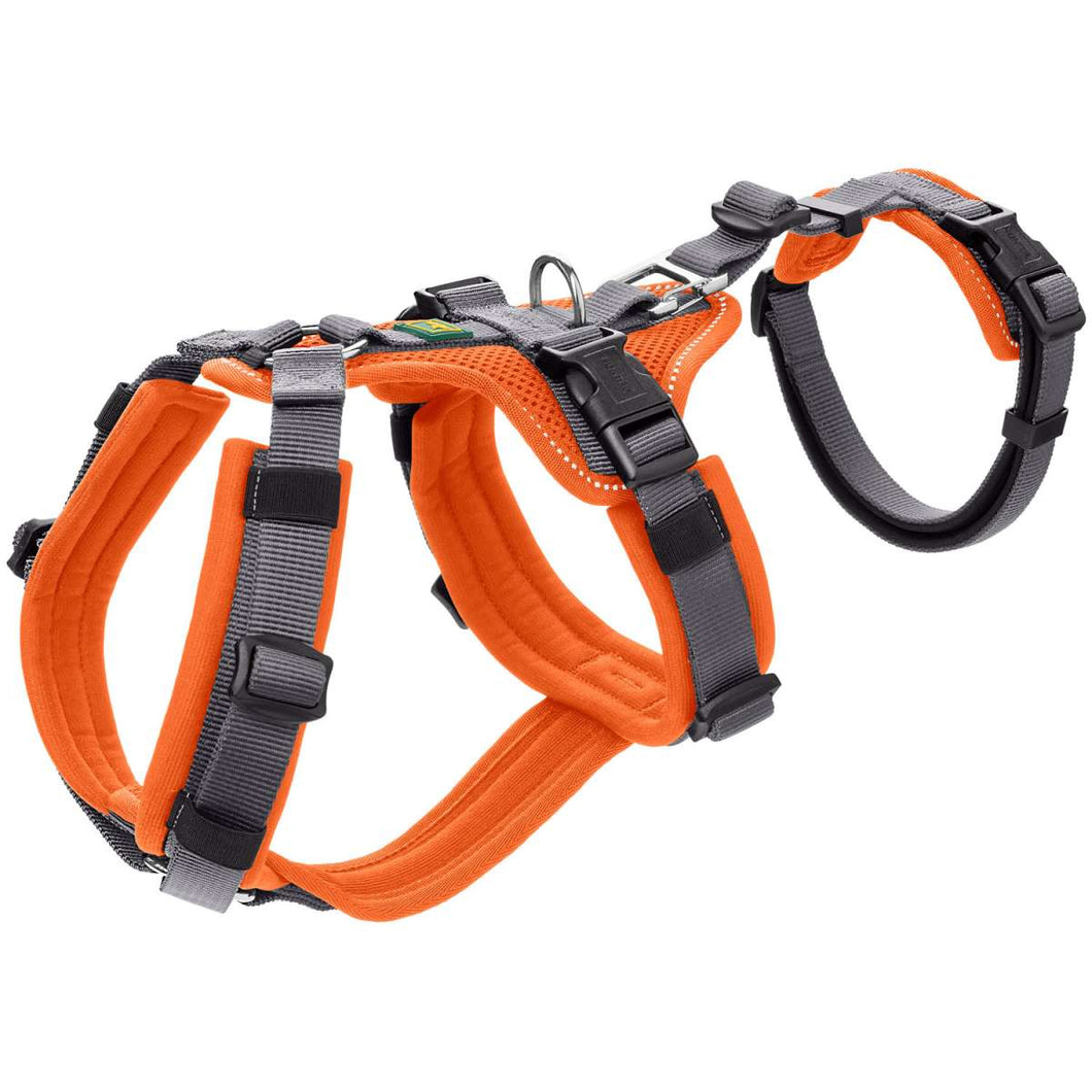 Safety harness with handle Maldon