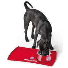 Food bowl base FC Bayern München