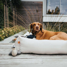 Dog toy Skagen