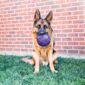 Dog toy KONG® Flexball