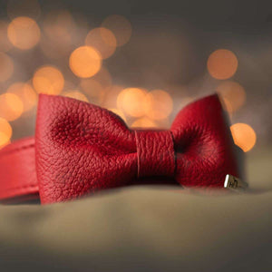 Collar bow tie Paris
