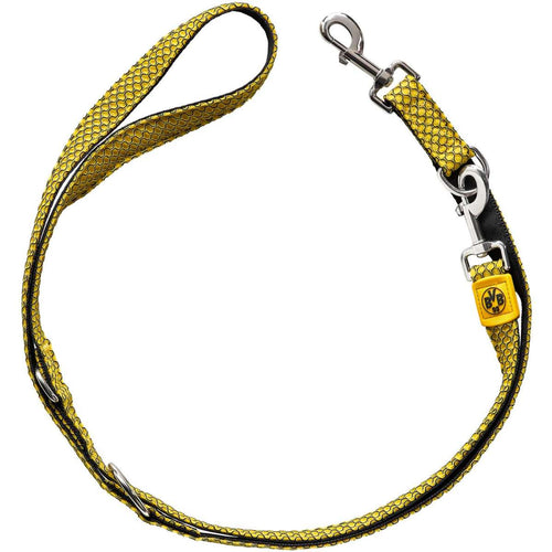 Training leash Hilo BVB