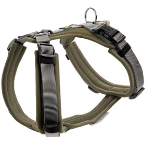 Harness Maldon