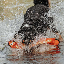 Dog toy Aqua Mindelo