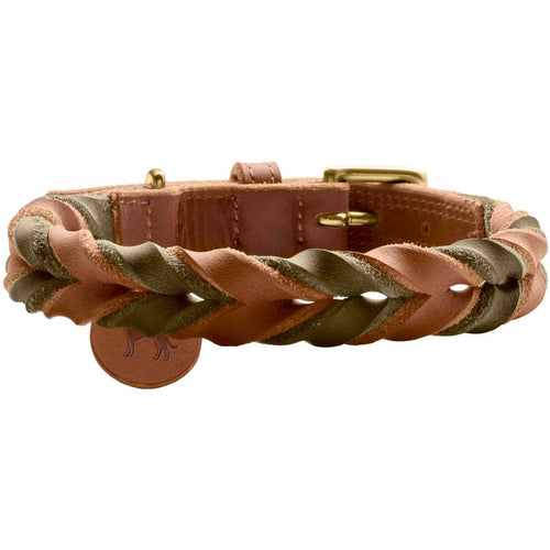 Collar Solid Education Duo