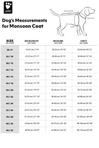 Monsoon Coat